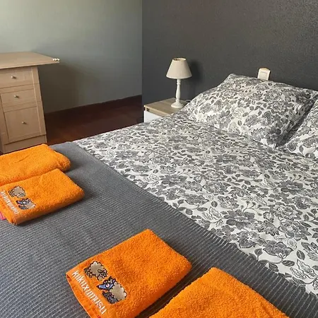 Amezola 2- Con Bano Exterior De Uso Privado En Casa Compartida منزل للإقامة بلباو